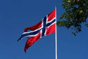 Vibrant Norwegian flag waving on a clear day with tree branch in view.